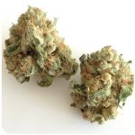 Шишки "White Widow"  (Белая вдова)  Гидропоника -  Бошка VHQ в Богдановиче