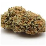 Шишки AK47  (Гидропоника, Бошка) VHQ в Богдановиче